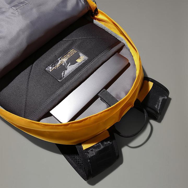 Produktbild North Face Borealis Classic (29 l)