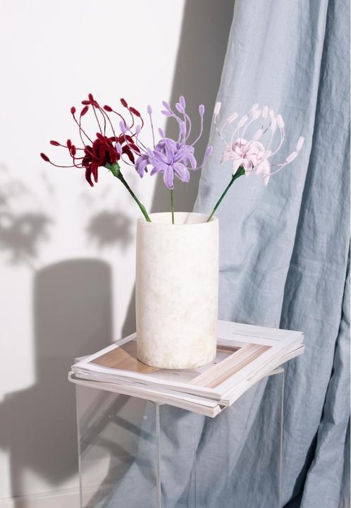 Actual product image Creativ Company Bastelset Spinnenlilie, Chenilledraht Mini