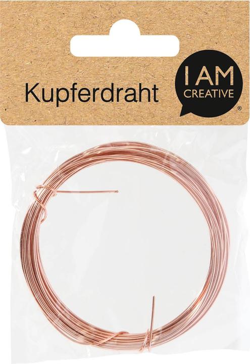 Actual product image I Am Creative Copper wire (6 m)