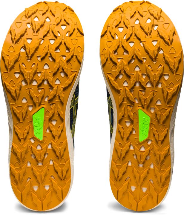 Image du produit ASICS Performance Fuji Lite 3 (47)