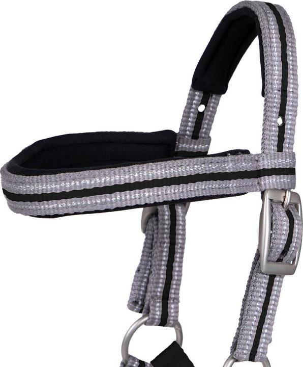 Image du produit Qhp Licol pour poulain avec frontal
