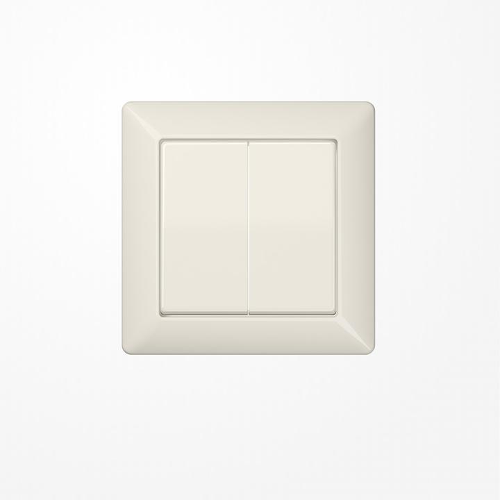 Actual product image JUNG Cover