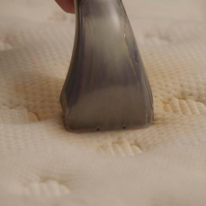 Produktbild Livington StainEx