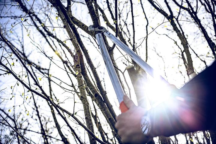 Produktbild Löwe 22 Profi Amboss 80 cm