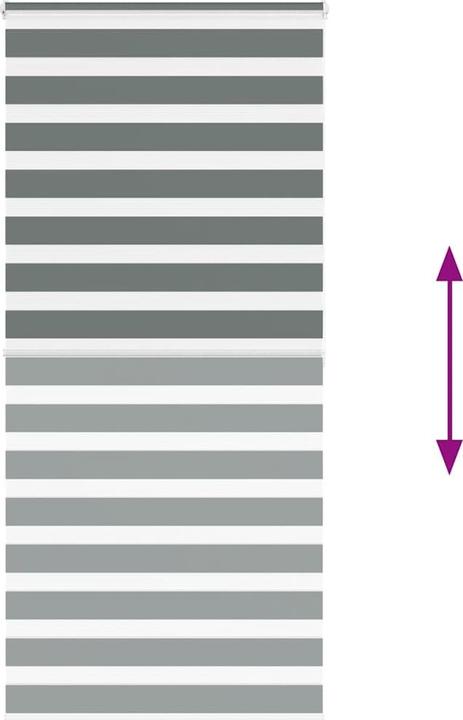 Produktbild vidaXL Zebra-Jalousie (95 x 200 cm)