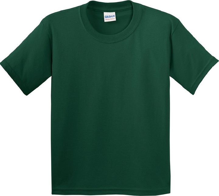 Verde foresta