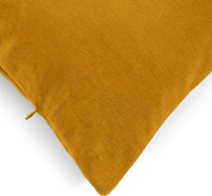 Actual product image La Redoute Interieurs Velvet (120 x 60 cm)