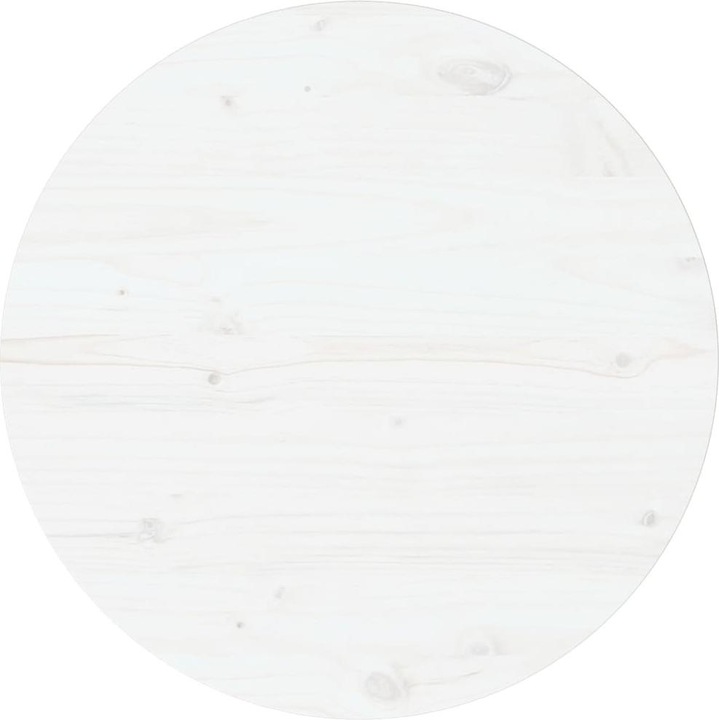 Ø 60 x 2.5 cm