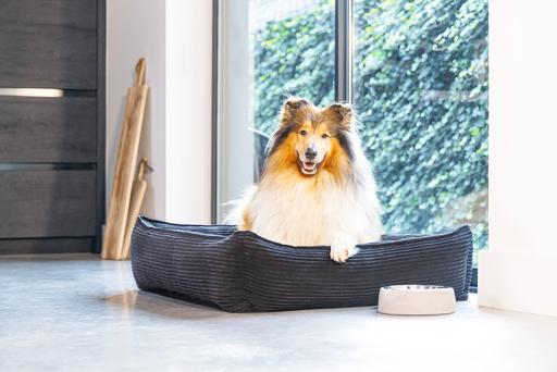 Actual product image Designed by Lotte Ribbed (Dog)