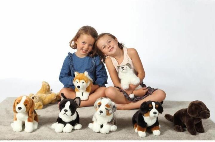 Actual product image Gipsy Australian Shepherd Dog