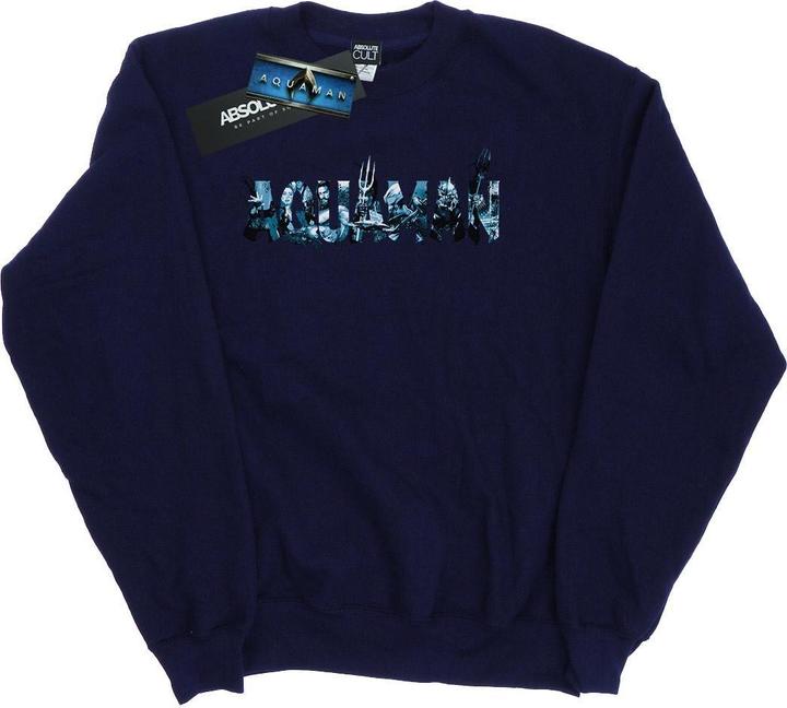 Produktbild Aquaman Text Logo Sweatshirt (XL)