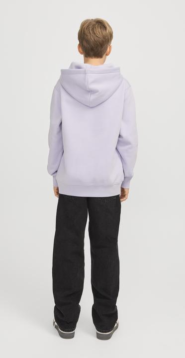 Actual product image Jack & Jones Jorvesterbro Sweat Hood Noos Jnr (128)