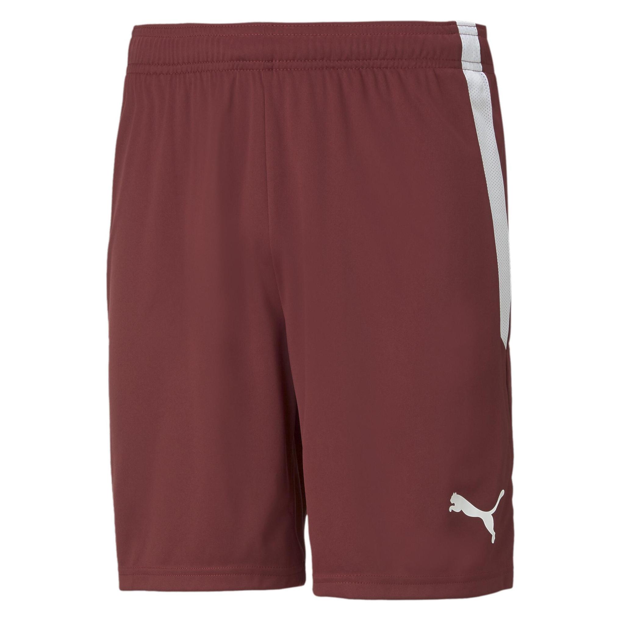 Puma, Herren, Sporthose, TeamLIGA Shorts-704924 (S), Rot