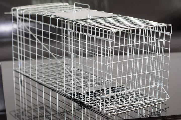 Actual product image Gardigo Marten live trap