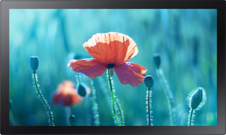 Immagine prodotto Samsung QB13R-TM (1920 x 1080 pixel, 13")