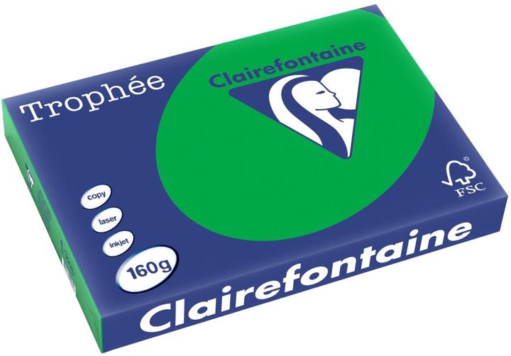 Image du produit Clairefontaine Papier à copier Trophee A3 160g/qm VE=250 feuilles vert billard (160 g/m², A3)