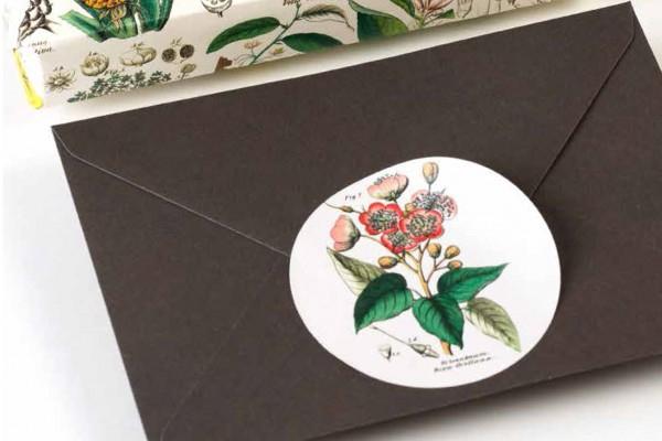 Produktbild Book Flora