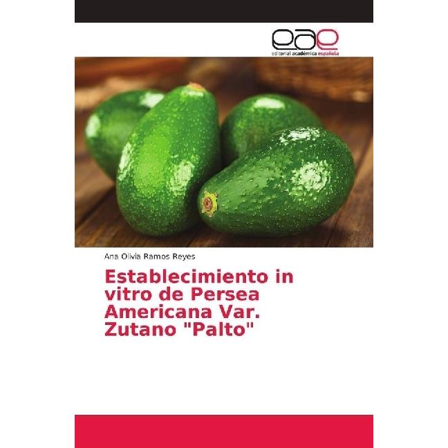Establecimiento in vitro de Persea Americana Var. Zutano 'Palto', Fachbücher von Ana Olivia Ramos Reyes