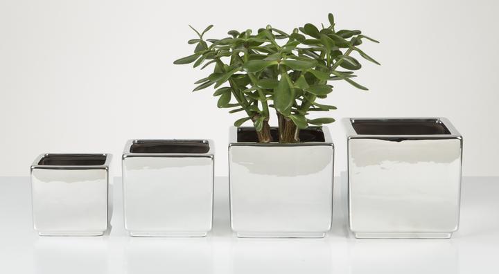 Image du produit Scheurich Mirror Silver (15 cm)