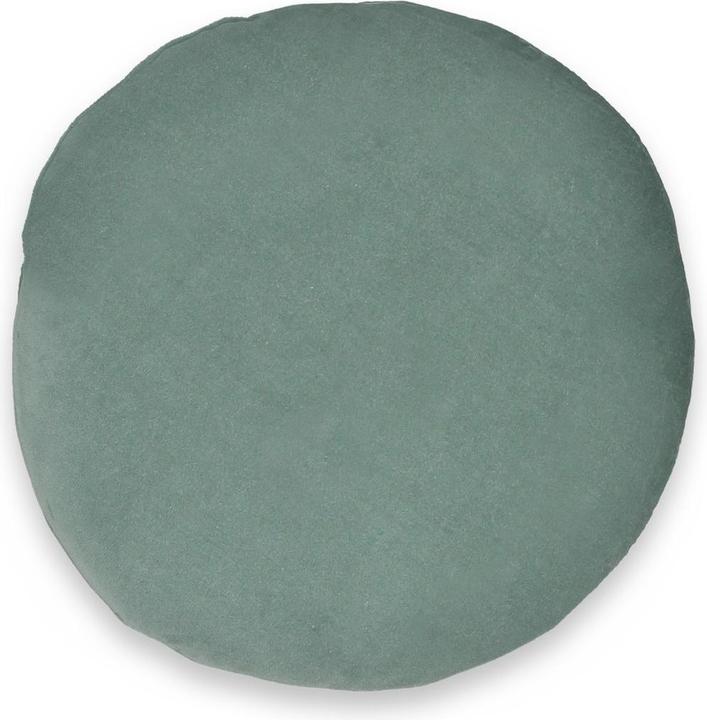 Immagine prodotto La Redoute Interieurs Velvet (38 x 38 cm)