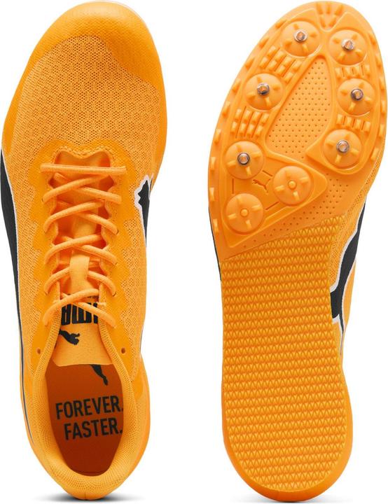 Image du produit Puma evoSPEED Star 9 (47)