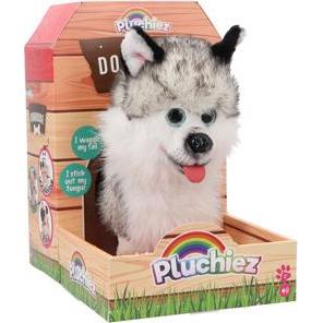 Pluchiez Bellender Husky Hajko Mit Spaziergang