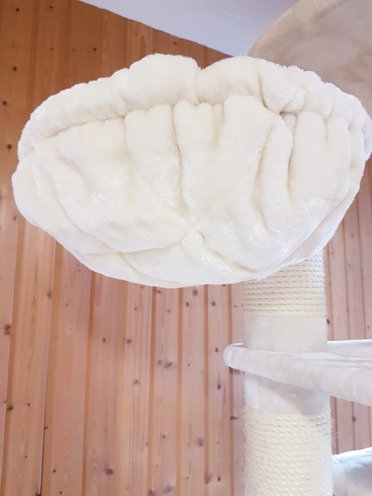 Produktbild Pet Homes Long Beach (192 cm, Beige)