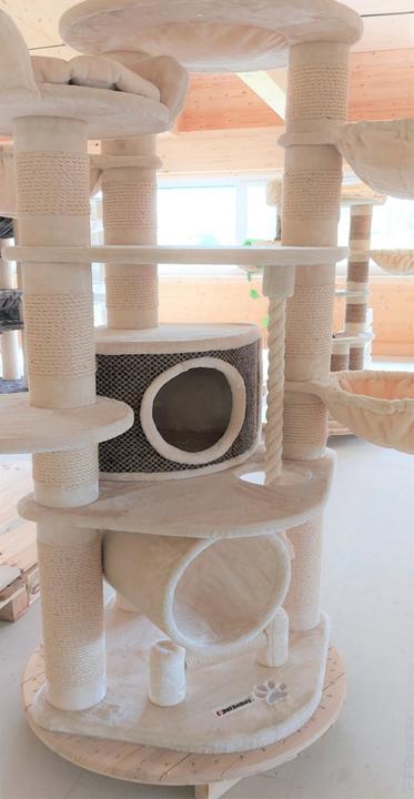 Produktbild Pet Homes Long Beach (192 cm, Beige)