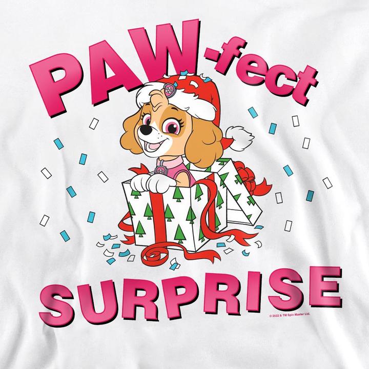 Produktbild Paw Patrol The PawFect Christmas Gift Sweatshirt (XL)