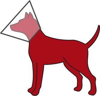 Produktbild Trixie Schutzkragen mit Klettverschluss (Katze, Hund)