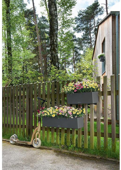 Actual product image Lechuza Balconera Color (19 cm)