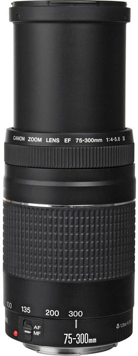 Image du produit Canon EF 75-300mm f/4.0-5.6 III (Canon EF, APS-C / DX)
