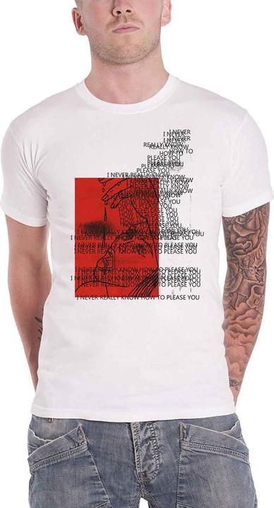 Actual product image Universal Textiles Unisex Adult Please You Cotton T-Shirt (M)