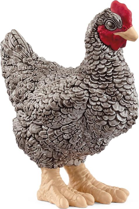 Image du produit Schleich Poulet de Plymouth Rock