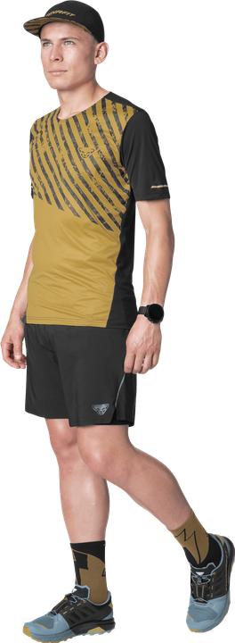 Actual product image Dynafit Alpine Shirt Herren (S)