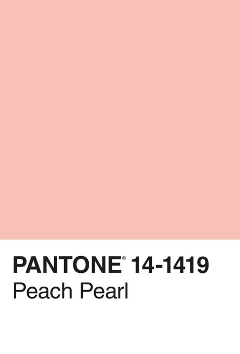 Produktbild Pantone (100 Stk.)
