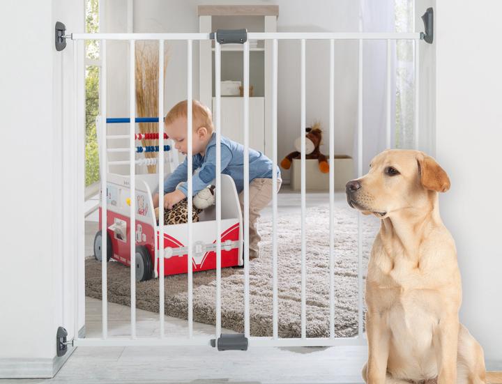 Immagine prodotto Roba Cancello di sicurezza (60 cm)