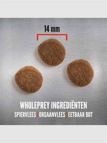 Image du produit Orijen Chien âgé (Adulte, 1 pcs, 11400 g)