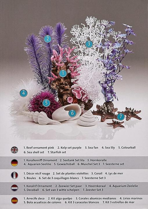 Actual product image Oase biOrb Aquarium 30 Decor Set