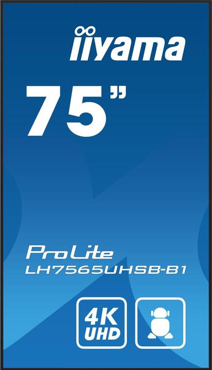 Actual product image iiyama 75" 3840x2160, UHD IPS panel, Haze 1%, 8 (3840 x 2160 Pixels, 74.50")