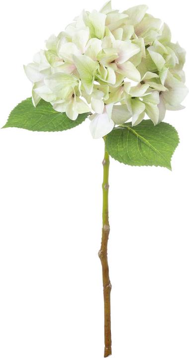 Actual product image Hill Interiors Artificial Flower Hydrangea (50 cm)