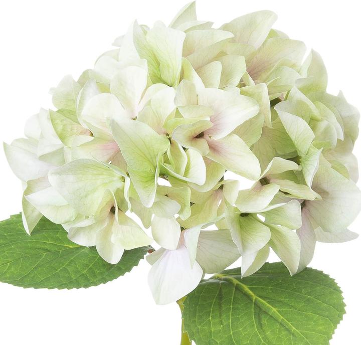 Actual product image Hill Interiors Artificial Flower Hydrangea (50 cm)