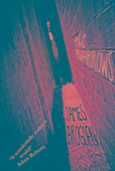 Produktbild The Narrows (Englisch, James Brogden, 2012)