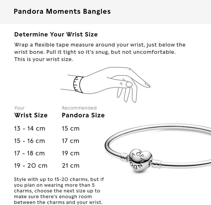 Immagine prodotto Pandora Momenti (17 cm, Argento)