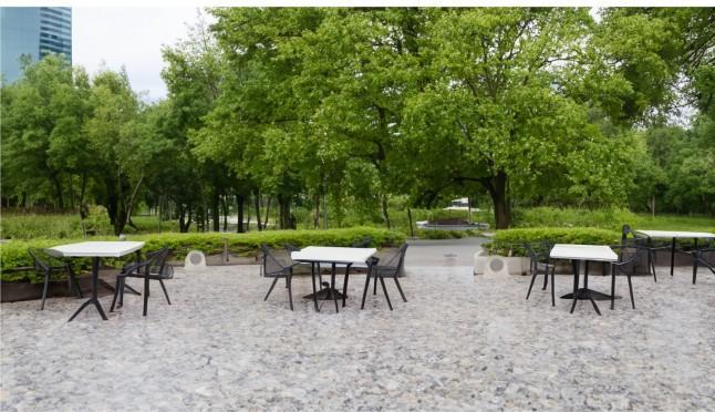 Produktbild Fonestar Altoparlante PA da Giardino 100V, IP66,30W, a Forma di Roccia