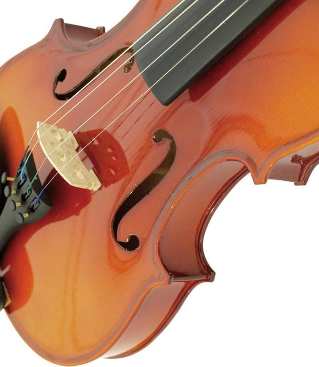 Immagine prodotto Dimavery Violino 4/4 con arco, in custodia (Giocherellare, 4/4)