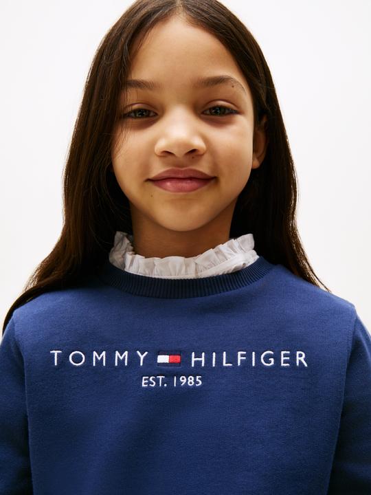 Produktbild Tommy Hilfiger Essential Sweatshirt (80)
