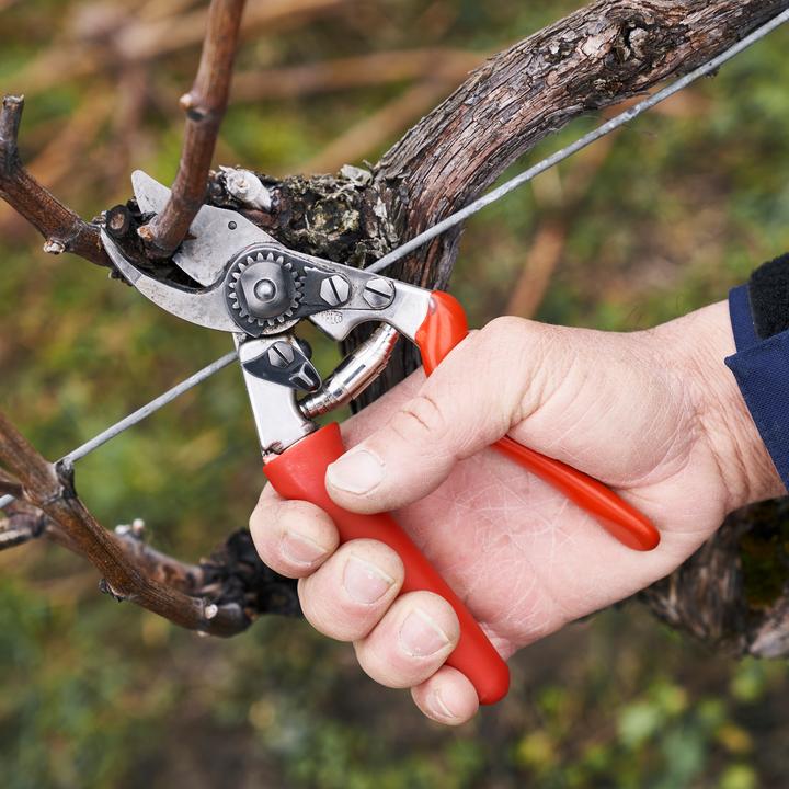 Produktbild Felco 15 Bypass Gartenschere für kleine Hände, für Rechtshänder