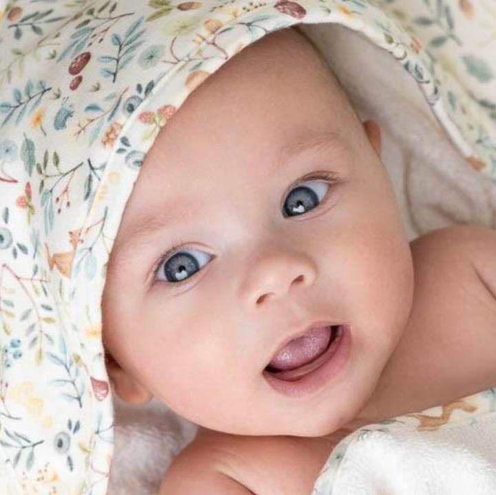 Image du produit Little Dutch Kapuzenhandtuch Forest Wonders - 75x75 cm