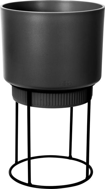 Immagine prodotto Elho B. per lo studio (22 cm)